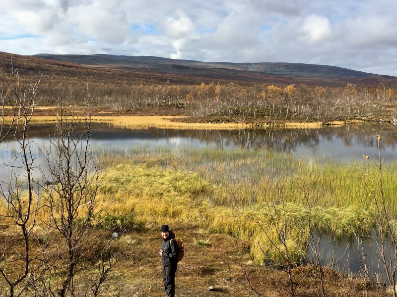 Kuohkimajärvi lake view