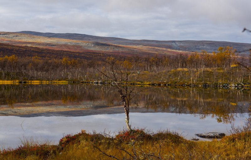 Malla Strict Nature Reserve 