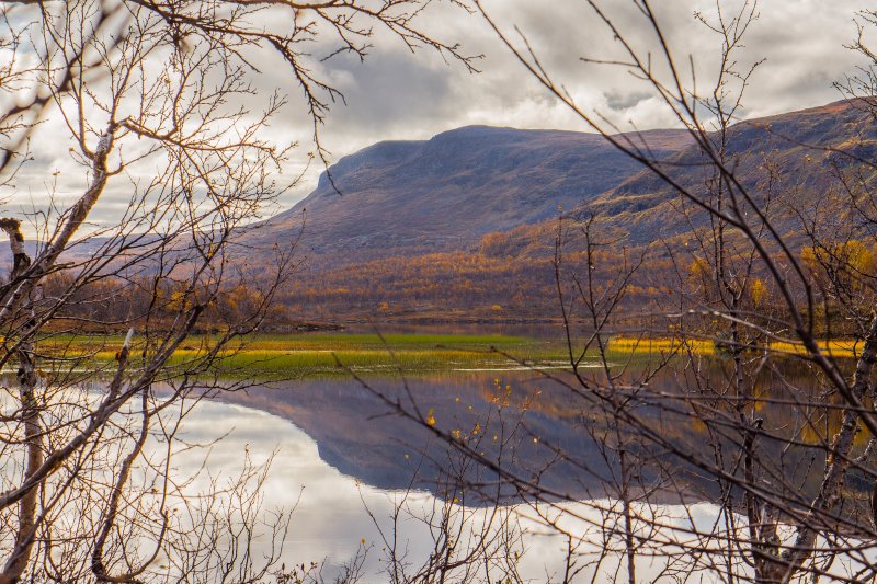 Malla Strict Nature Reserve