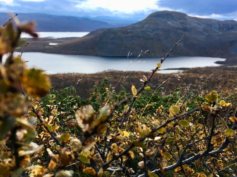 Arctic nature, important for the Sámi people