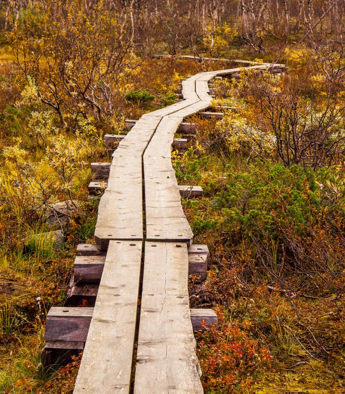 Wooden walkway, Kilpisjärvi 