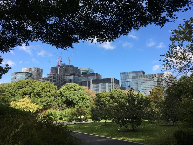 Downtown Tokyo from Imperial Palace Gardens