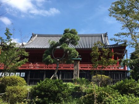 Kiyomizu Hall and Ueno Park gardens