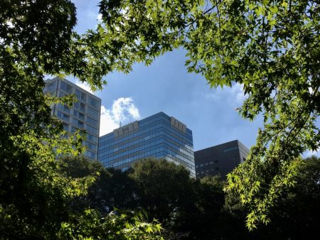 Koishikawa Korakuen Garden city view