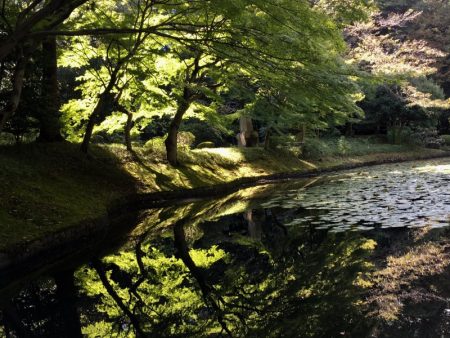 Koishikawa Korakuen Garden pond view