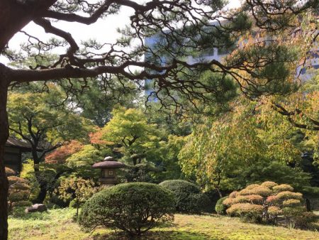 Koishikawa Korakuen Garden, Tokyo
