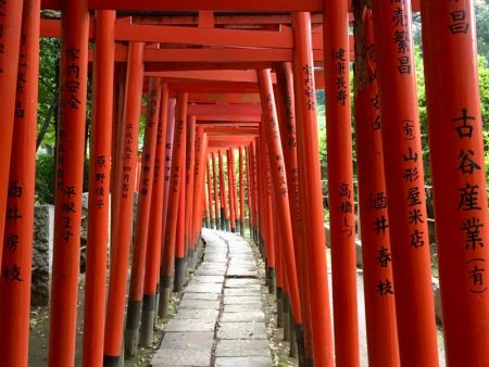 Dreaming about travel: Japanese shrine gates