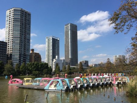 Ueno Park pedal boats