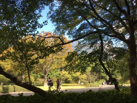 Visiting Imperial Palace Gardens, Tokyo