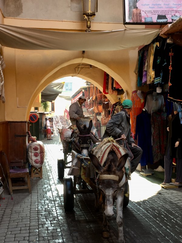 Watch for donkeys! A man and donkey in the souks of Marrakech