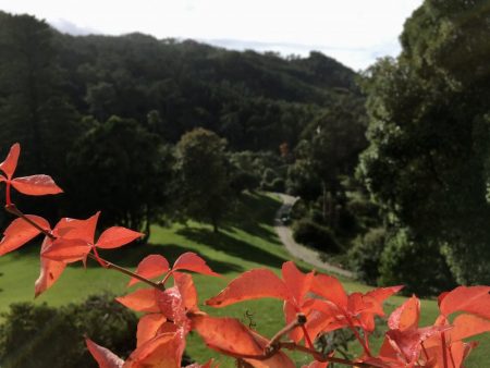 Green hills of Sintra