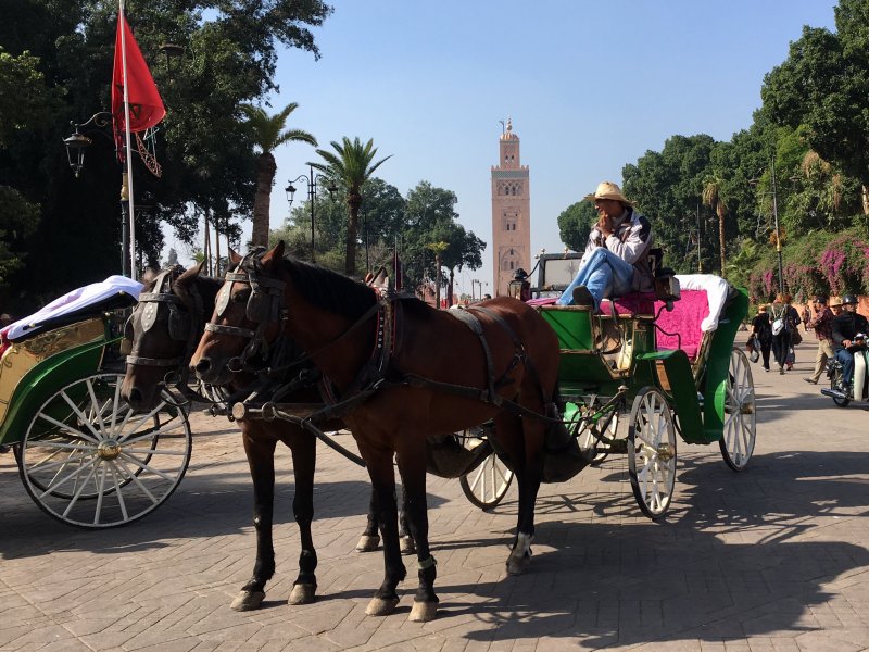 Man, horse and carriage, Jemaa el-Fna Man, horse and carriage, Jemaa el-Fna