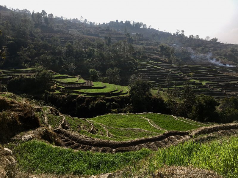 Hiking along Nagarkot rice terraces, Nepal