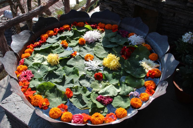 Hotel Coutnry Villa flower decorations