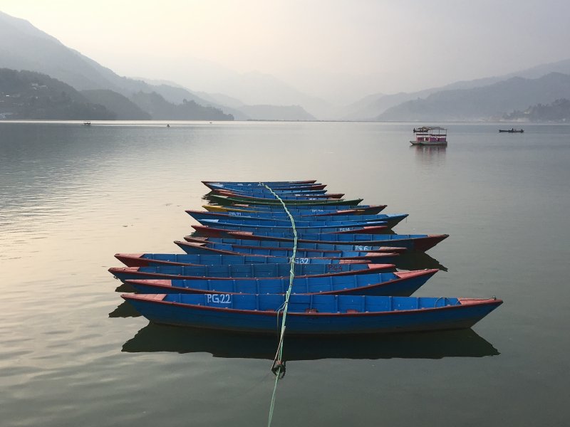 Blue boats on Lake Phewa