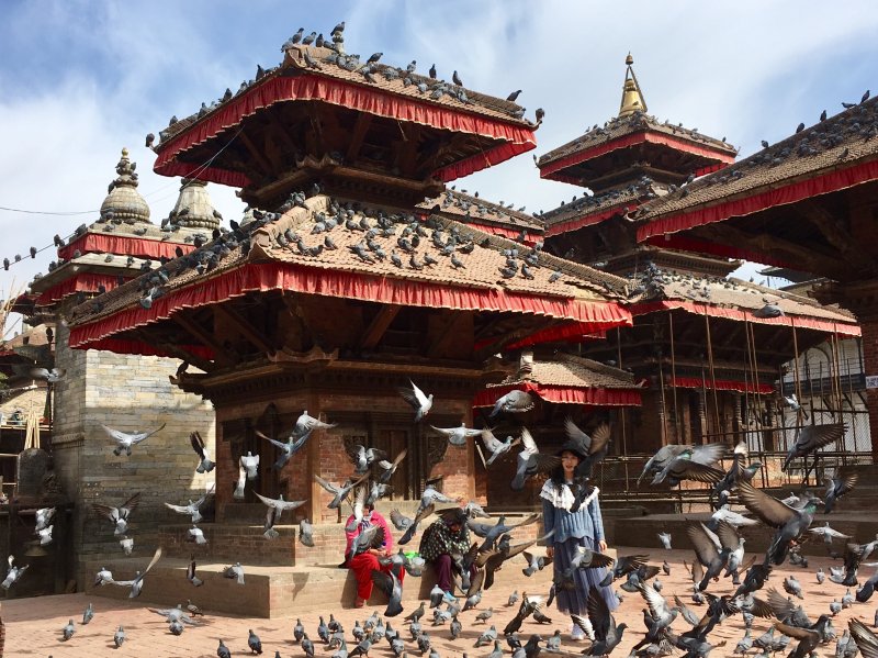 Kathmandu Durbar Square pigeons, Nepal