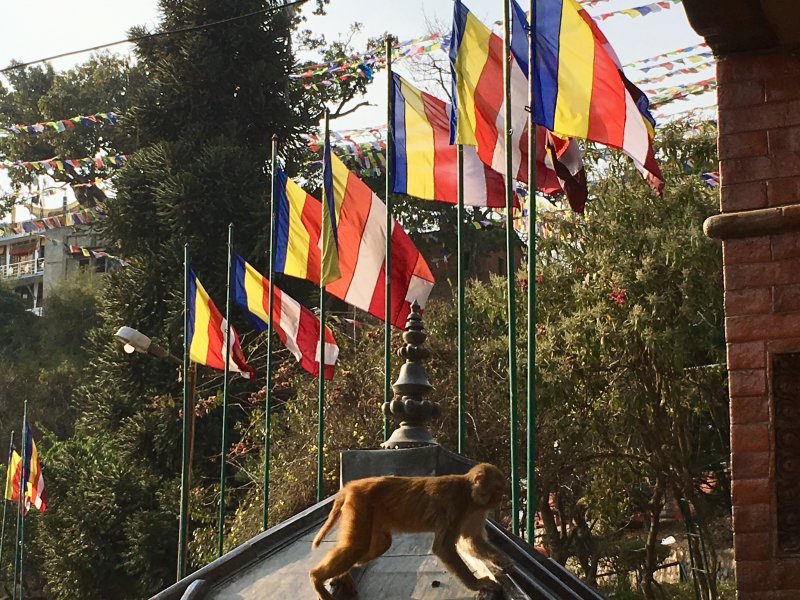 Swayambbunath, the Monkey Temple