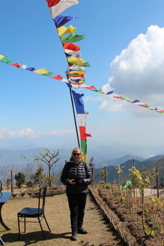 Nepalese prayer flags at 2000 m Nepalese prayer flags at 2000 m