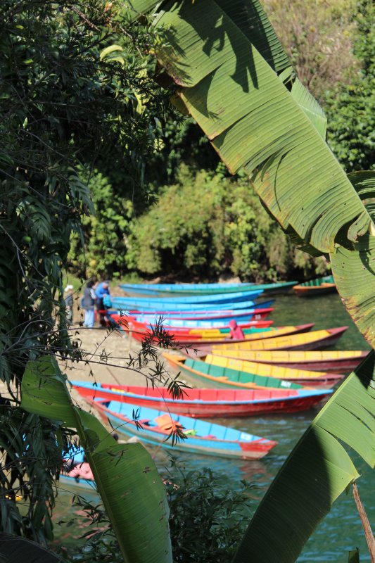 Rowing boats on the lakeshore