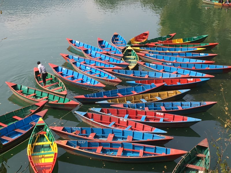 Rowing boats on the lakeside, Pokhara