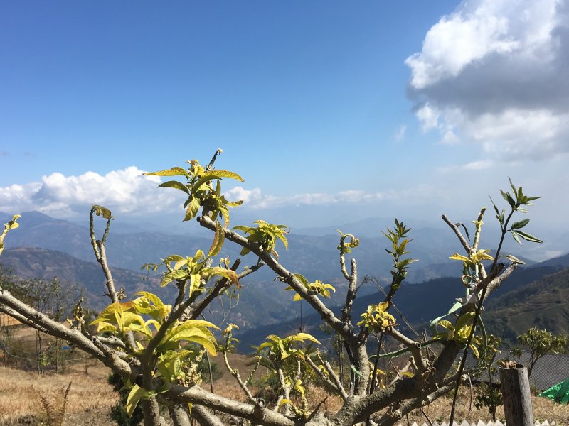 What to see around Kathmandu: Shivapuri Nagarjun National Park Shivapuri Nagarjun National Park valley view
