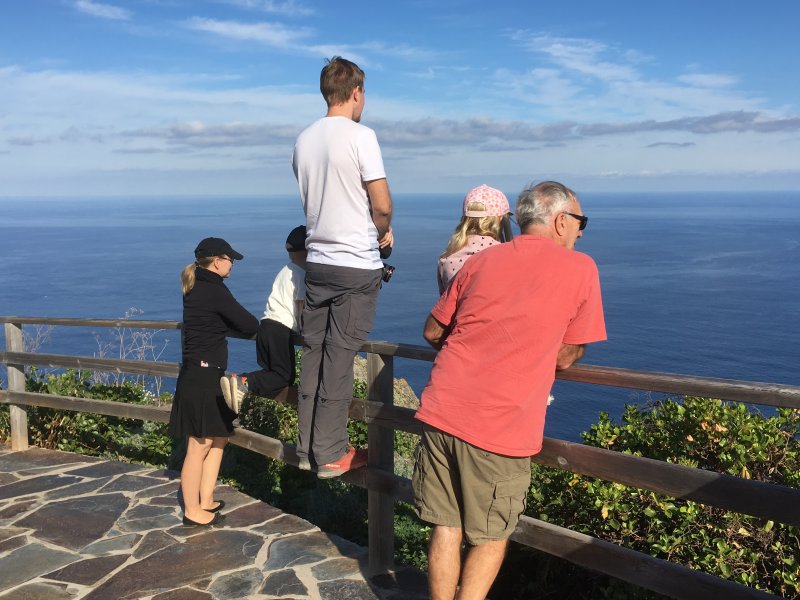 Stopping for views, Tenerife's north coast