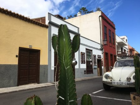 Garachico street and cactus