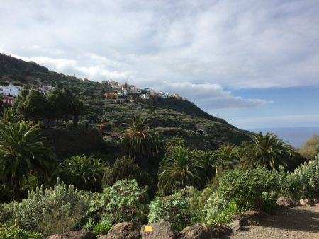 Icod de los Vinos coastline, Tenerife