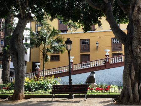 Icod de los Vinos center, Tenerife