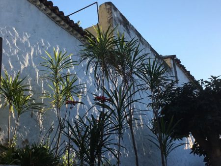 La Orotava house wall