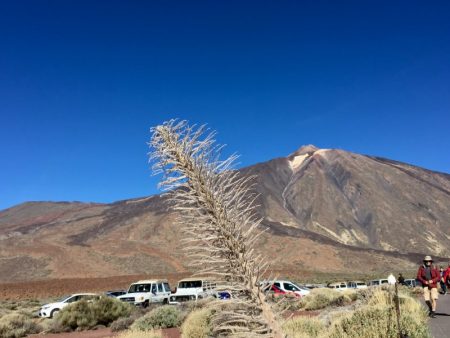Mount Teide car park
