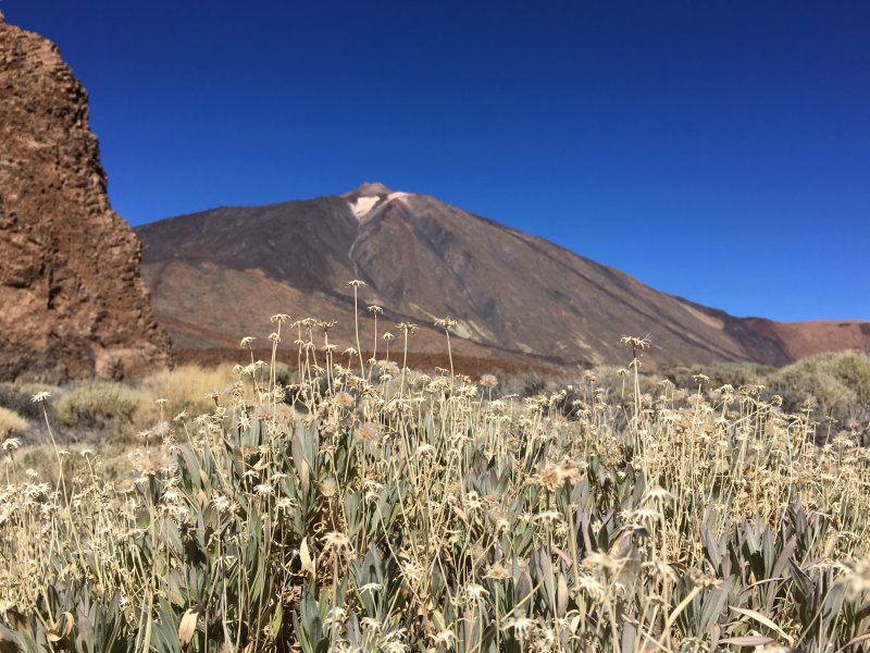 Mount Teide from the Roques de Garcia hike, Tenerife