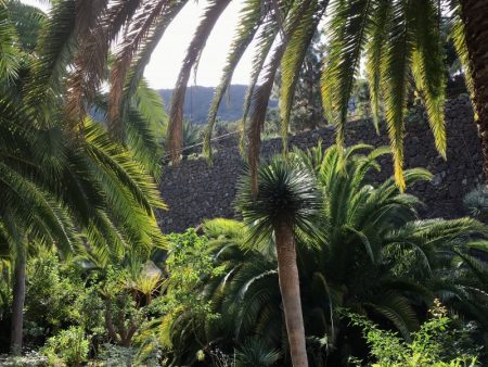 Parque del Drago, Icod de los Vinos