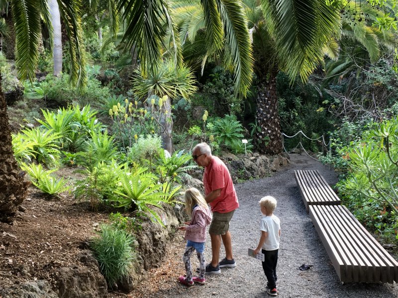 Parque del Drago, Tenerife