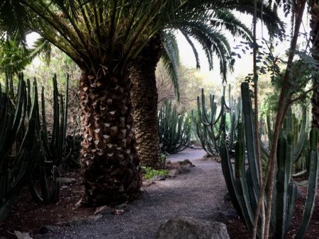 Parque del Drago, Tenerife