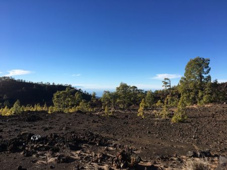 Parque Nacional del Teide landscape