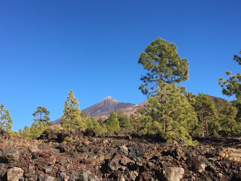 Parque Nacional del Teide, Tenerife