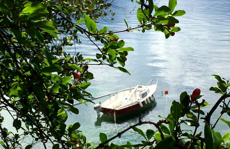 A bay of Kotor sailing boat