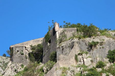 Kotor fortress