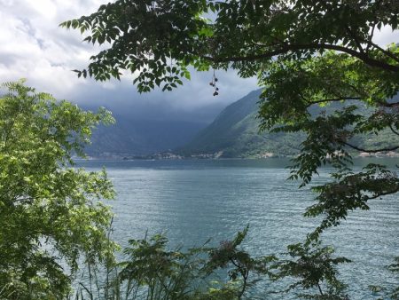 Boka Kotorska shoreline