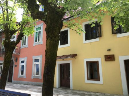 Cetinje street view