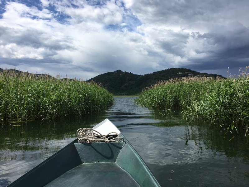 Lake cruising in Skadar Lake National Park Cruising in Skadar Lake National Park