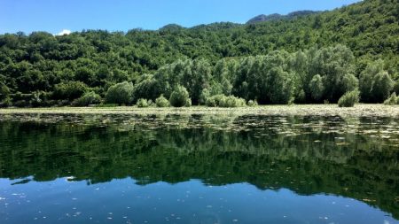 Rijeka Crnojevica riverside, Lake Skadar National Park