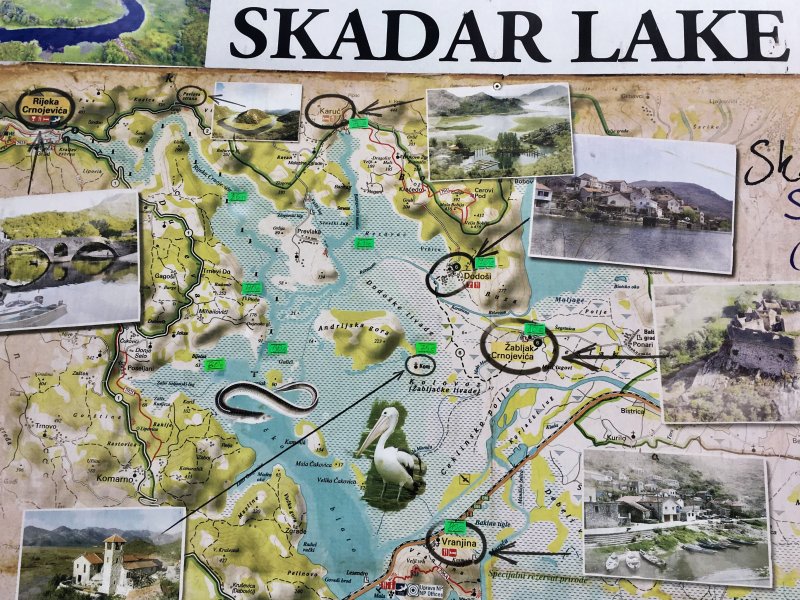 Map of Skadar Lake Skadar Lake map