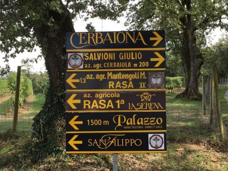 Italy by train and car: Montalcino vineyards