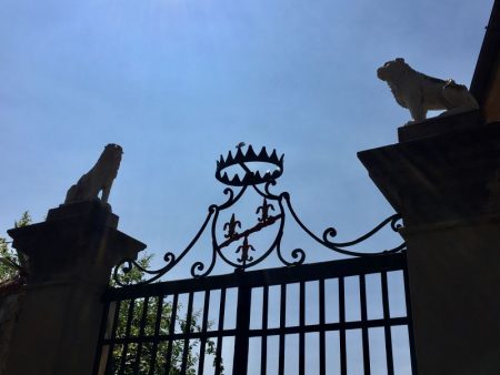Lions in Florence, Italy