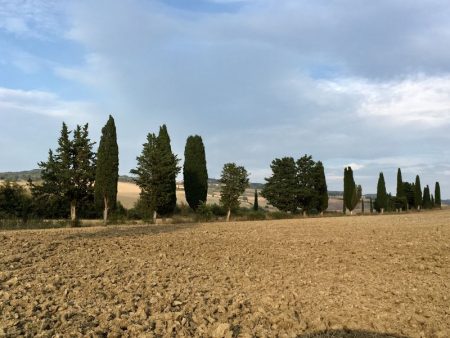 Tuscan landscape with cypress trees