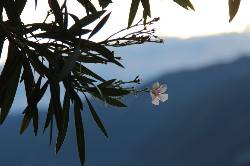 Lake Como evening Lake Como evening
