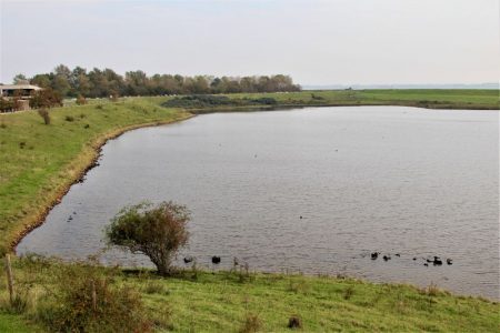 Holland's dikes and polders