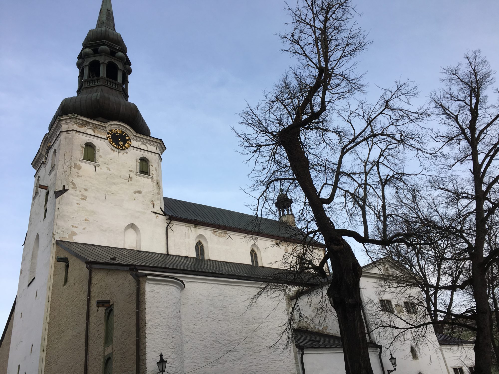 St Mary the Virgin, the Dome of Tallinn Cathedral of St Mary the Virgin, Tallinn